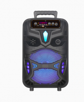 КОЛОНКА NDR-P55
