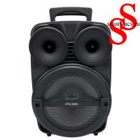 КОЛОНКА KTS 1089 C