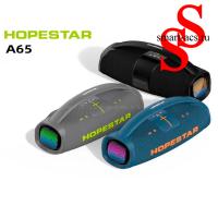Kолонка HOPESTAR A65 300W