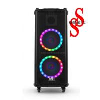 КОЛОНКА NDR-1010S