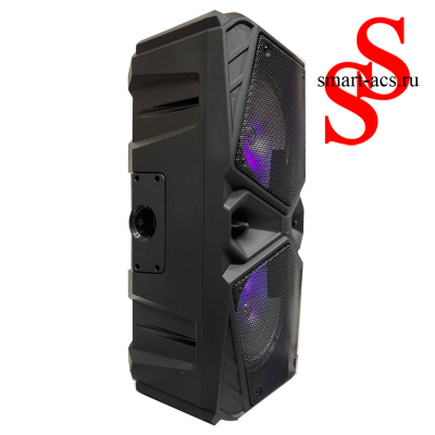 КОЛОНКА ZQS 6206 W