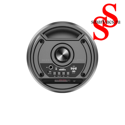 КОЛОНКА ZQS4248