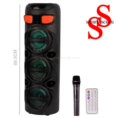 КОЛОНКА ZQS6301