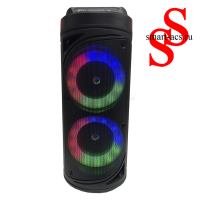 КОЛОНКА ZQS6212