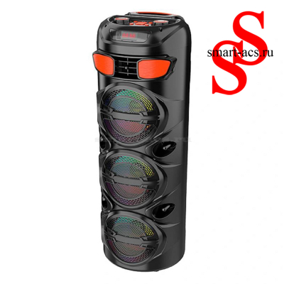 КОЛОНКА ZQS6301