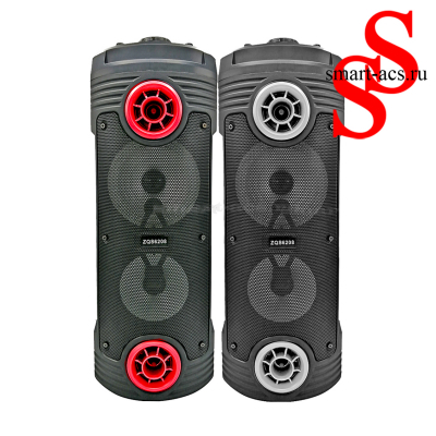 КОЛОНКА ZQS 6208