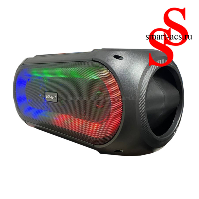 КОЛОНКА ZQS4247
