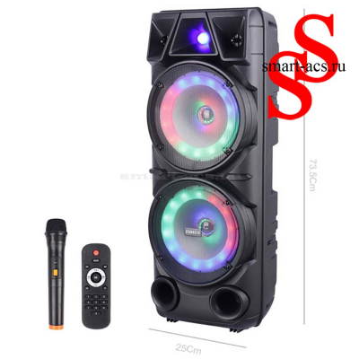 КОЛОНКА ZQS8210