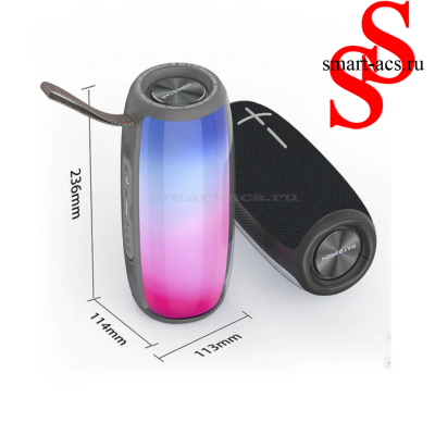 ПОРТАТИВНАЯ КОЛОНКА HOPESTAR P40PRO