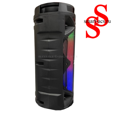 КОЛОНКА ZQS6216