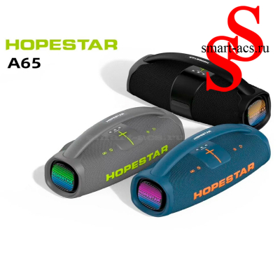 Kолонка HOPESTAR A65 300W