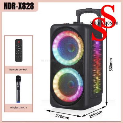 КОЛОНКА NDR-X828