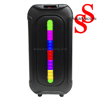 КОЛОНКА ZQS4255