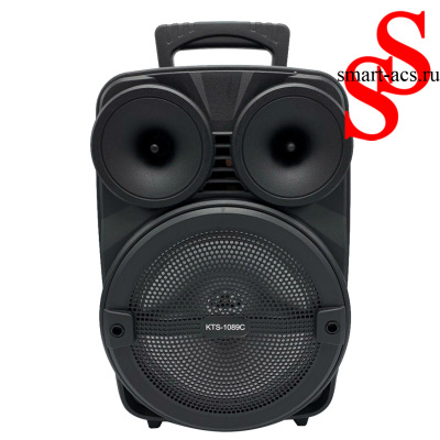 КОЛОНКА KTS 1089 C