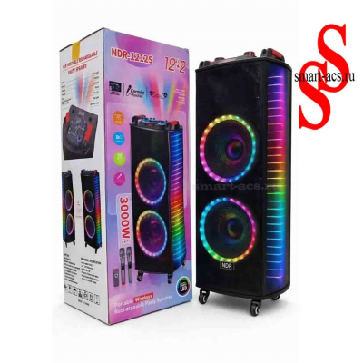 КОЛОНКА NDR-1212S
