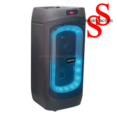 КОЛОНКА ZQS4245