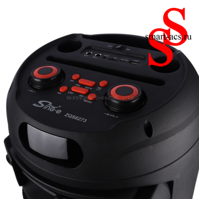 КОЛОНКА ZQS8273