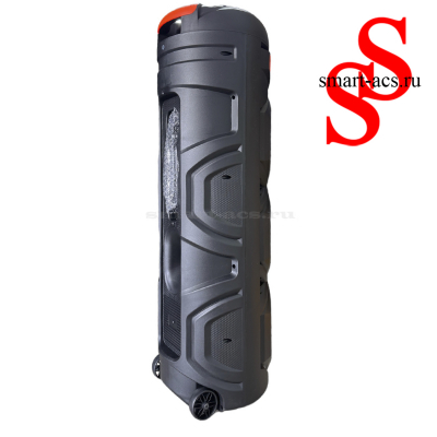 КОЛОНКА ZQS8301