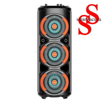 КОЛОНКА ZQS3601