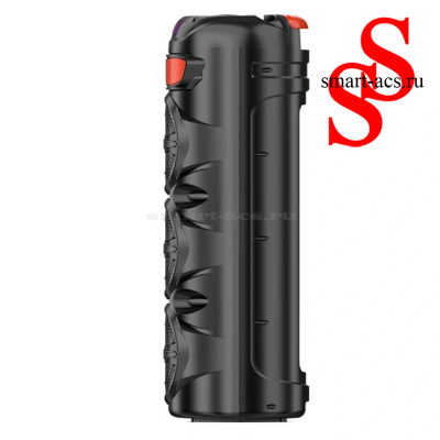 КОЛОНКА ZQS6301