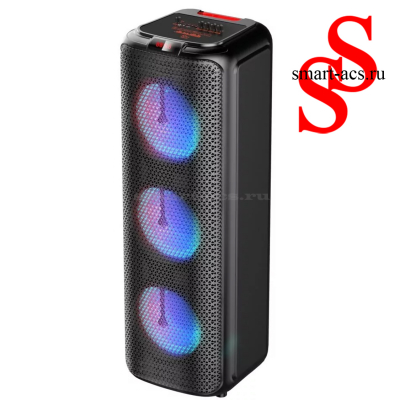 КОЛОНКА ZQS8303