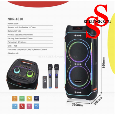 КОЛОНКА NDR-1810