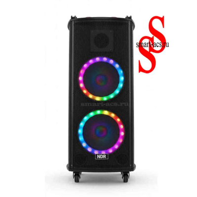 КОЛОНКА NDR-1010S