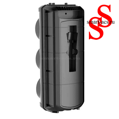 КОЛОНКА ZQS3601
