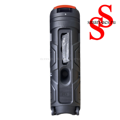 КОЛОНКА ZQS8301