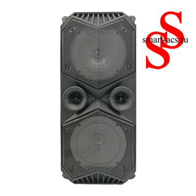 КОЛОНКА ZQS 1819