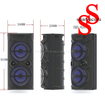 КОЛОНКА ZQS 8207