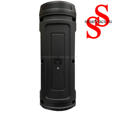 КОЛОНКА ZQS6216