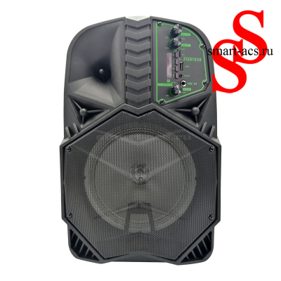 КОЛОНКА ZQS 1839