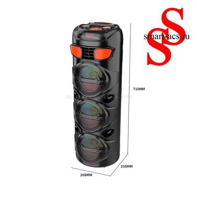 КОЛОНКА ZQS6301