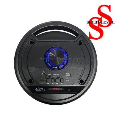 КОЛОНКА ZQS6212