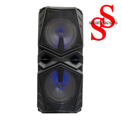 КОЛОНКА ZQS 6206 W