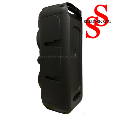 КОЛОНКА ZQS8228