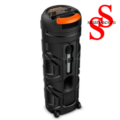 КОЛОНКА ZQS8202