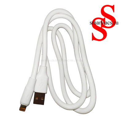 КАБЕЛЬ DENMEN D28L LIGHTNING 120W