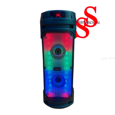 КОЛОНКА ZQS6210W