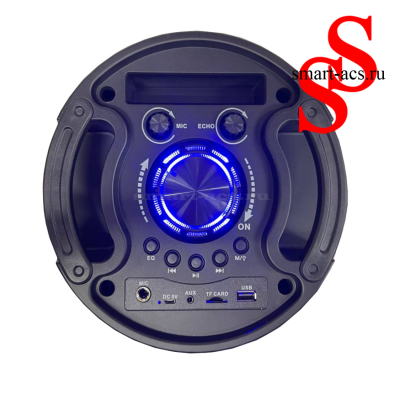 КОЛОНКА ZQS6216