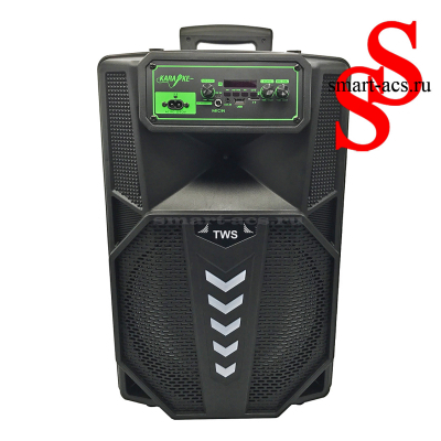 КОЛОНКА ZQS-12102